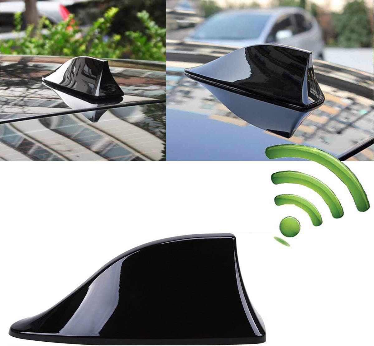 Antenne de Voiture Universelle Requin